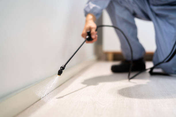 Licensed Fumigation Services service in El Lago, TX - Nex Pest Control