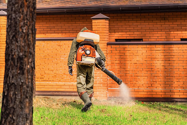 Trusted Emergency Pest Control service in El Lago, TX - Nex Pest Control